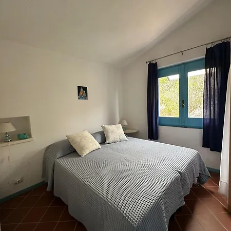 Sun, Light And Sea In *