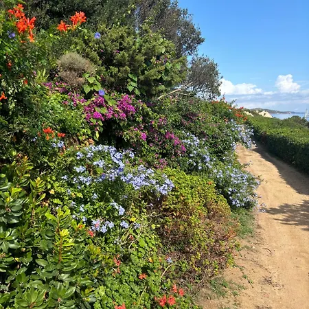 Sun, Light And Sea In * Porto Rafael